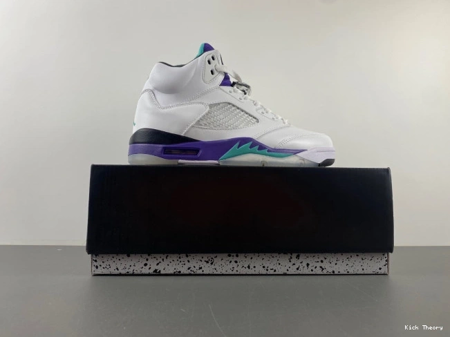 Kicktheory Jordan Air 136027-108 Retro Grape (2013) 5 0704